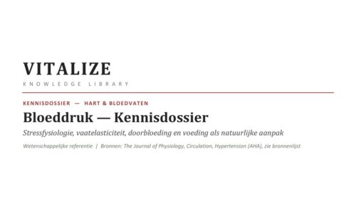 VITALIZE Kennisdossier – Bloeddruk